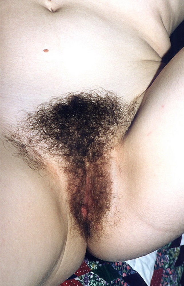 Gratis Foto 8354 Peludas
