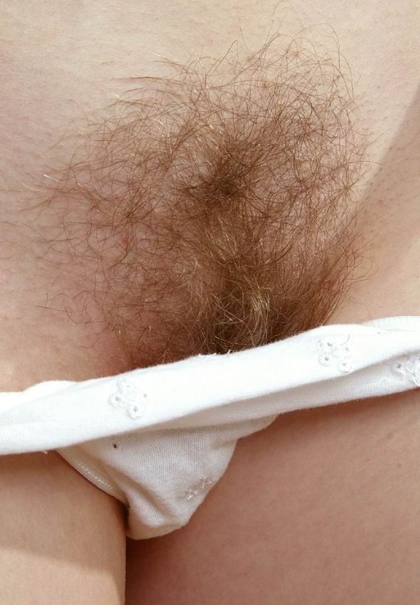 Gratis Foto 1427 Peludas