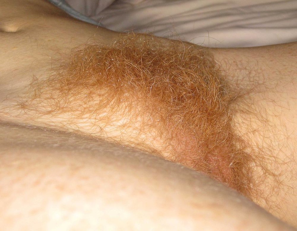 Gratis Foto 13455 Peludas