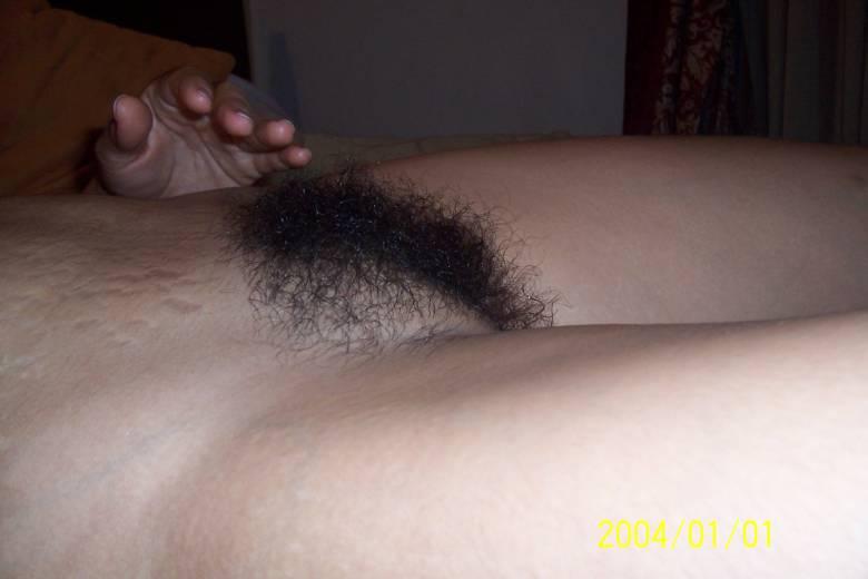Gratis Foto 3966 Peludas