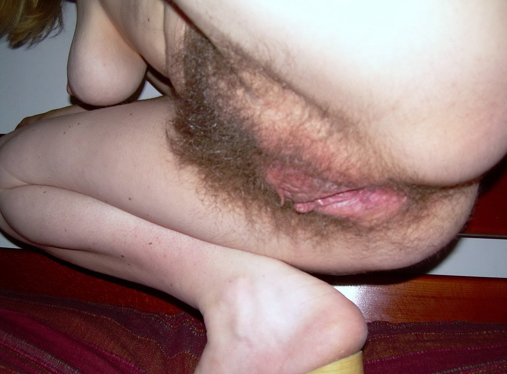 Gratis Foto 13685 Peludas