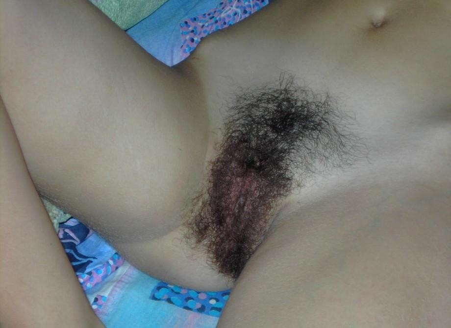 Gratis Foto 10924 Peludas