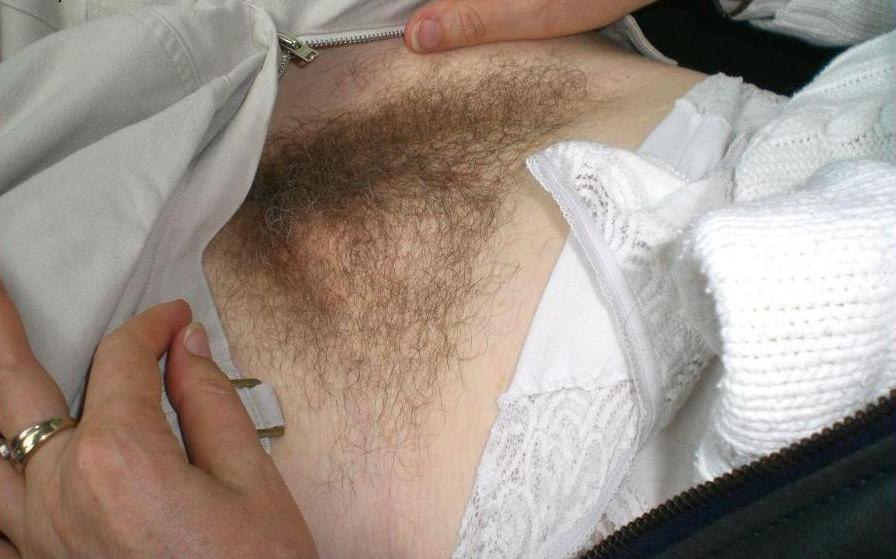 Gratis Foto 2863 Peludas