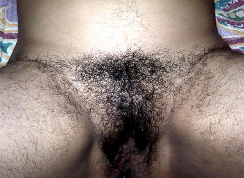 Gratis Foto 14835 Peludas