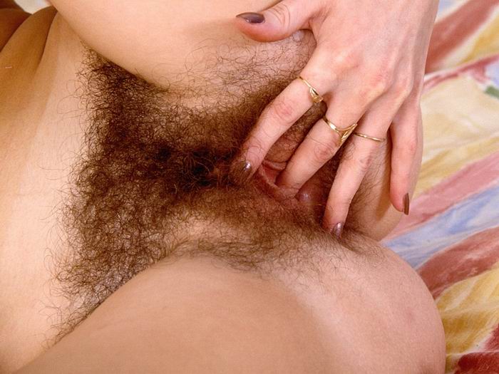 Gratis Foto 2841 Peludas