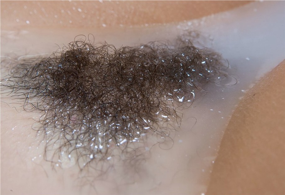 Gratis Foto 10030 Peludas