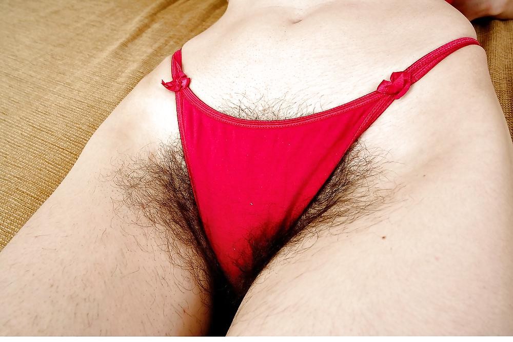 Gratis Foto 5068 Peludas