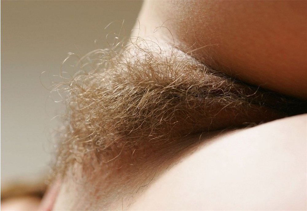 Gratis Foto 4242 Peludas
