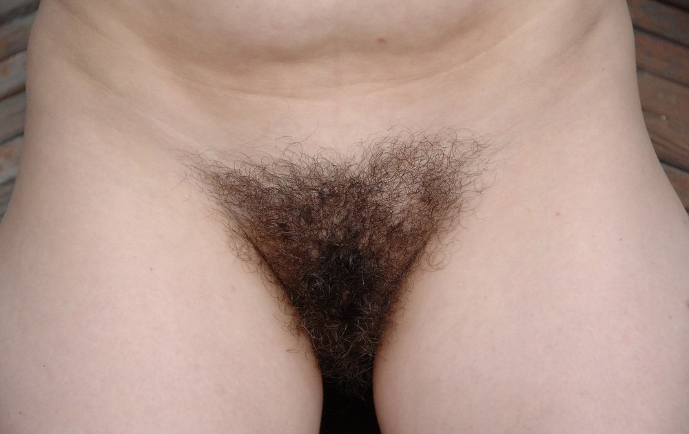 Gratis Foto 1311 Peludas