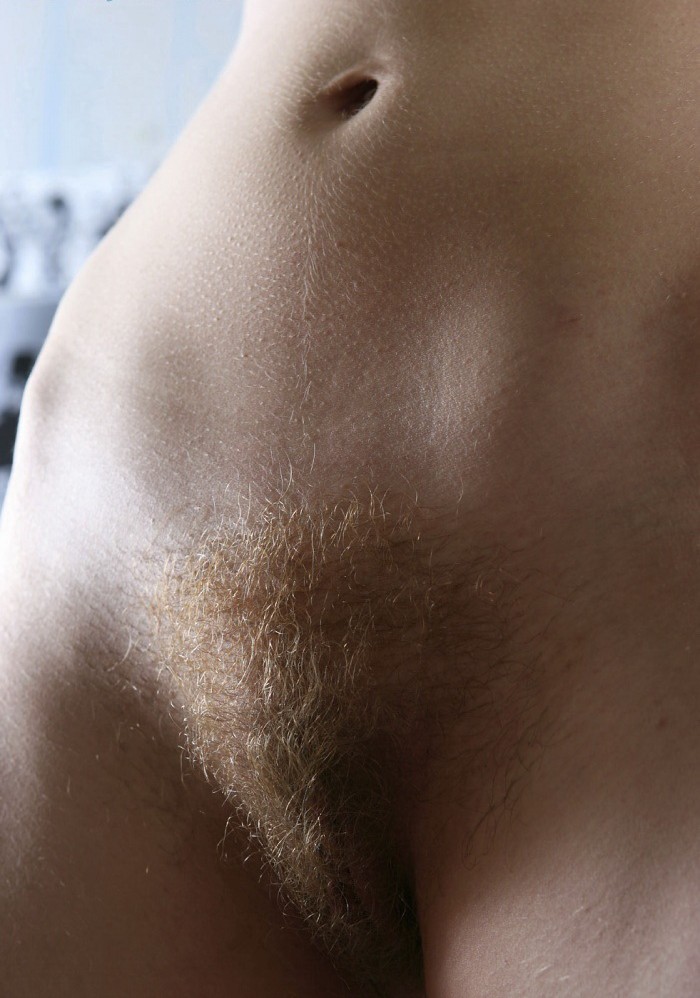 Gratis Foto 14973 Peludas