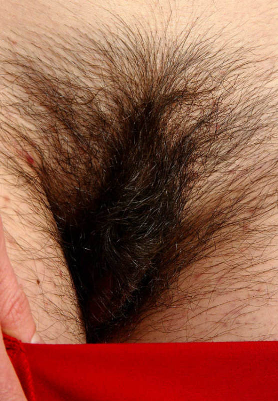 Gratis Foto 1148 Peludas