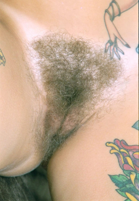 Gratis Foto 12059 Peludas