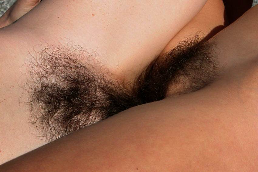 Gratis Foto 10644 Peludas
