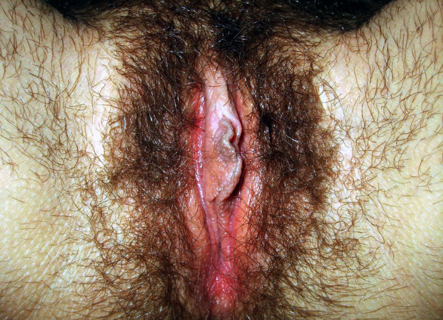 Gratis Foto 8083 Peludas