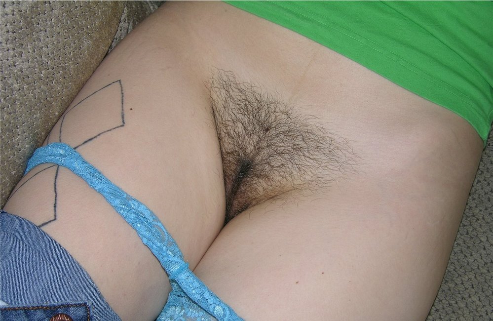 Gratis Foto 24 Peludas