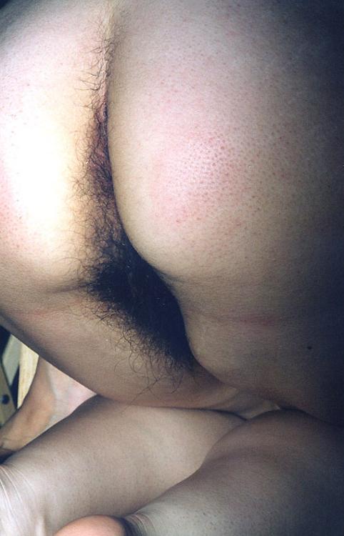 Gratis Foto 7081 Peludas