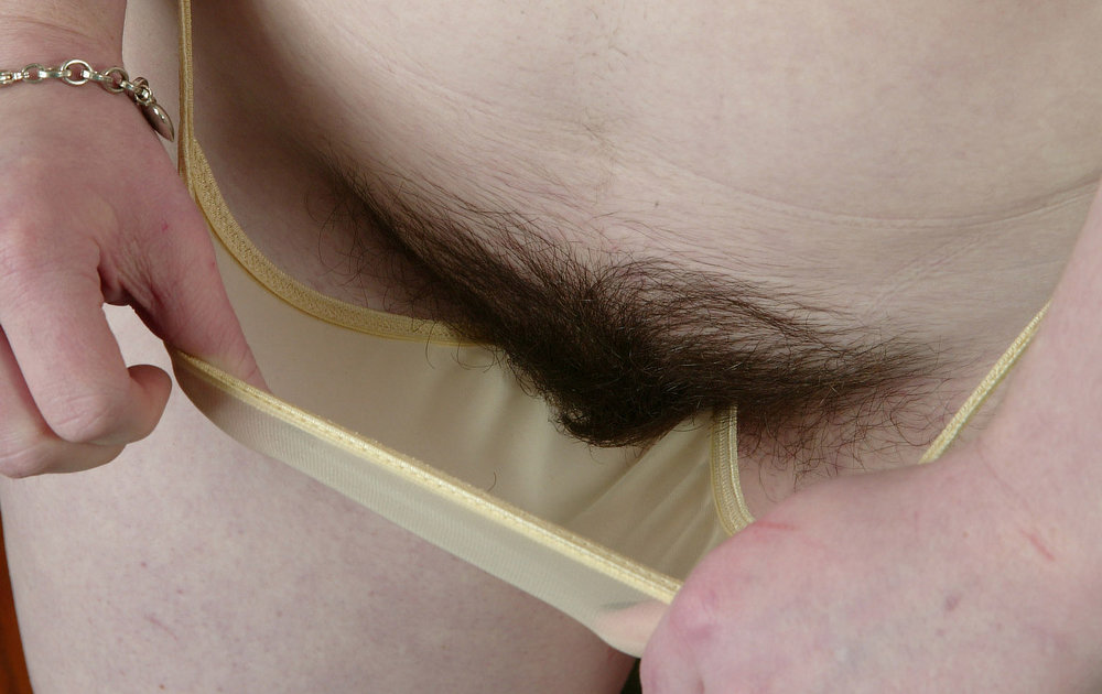 Gratis Foto 3529 Peludas