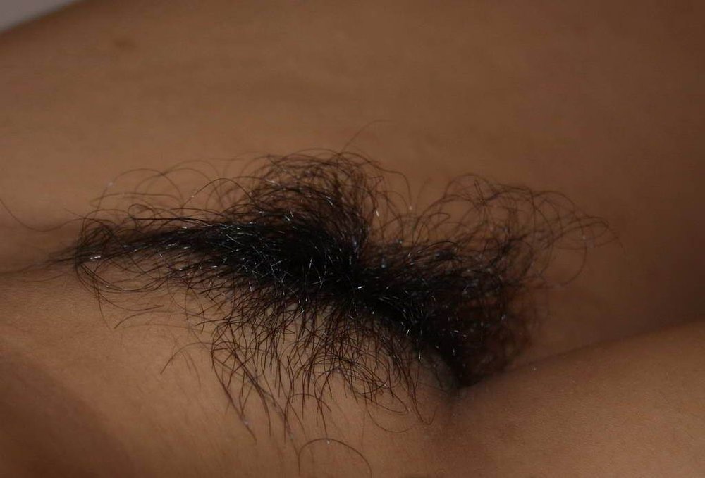 Gratis Foto 14140 Peludas
