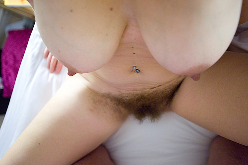 Gratis Foto 1408 Peludas