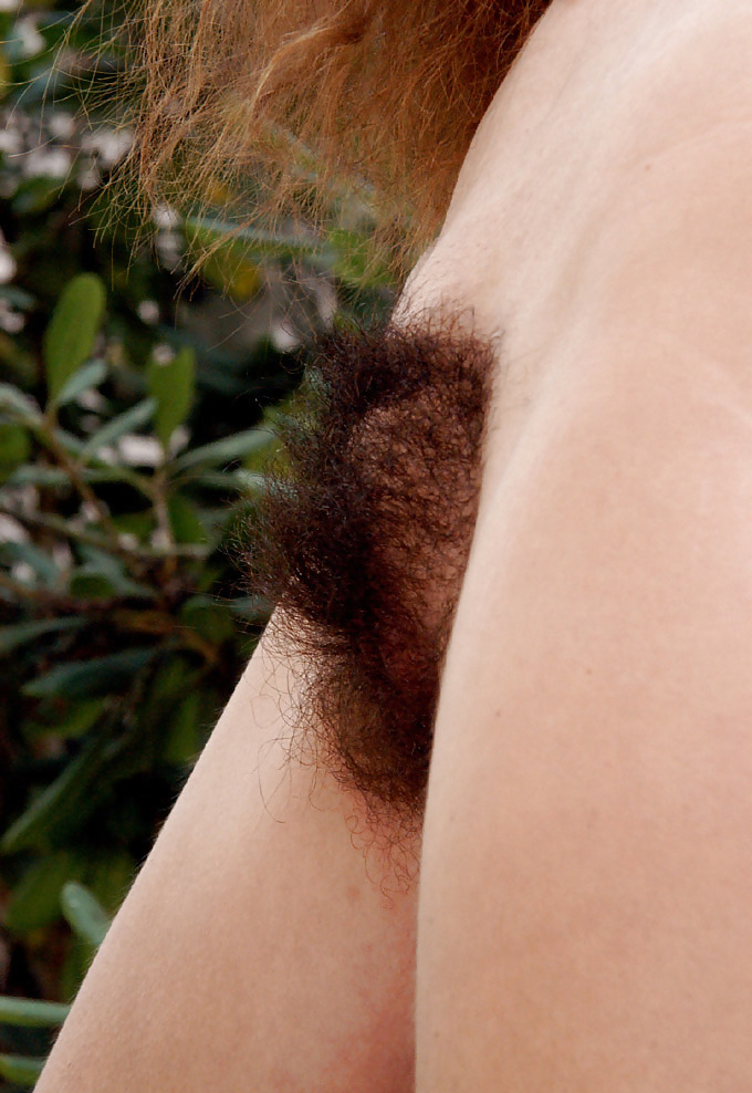 Gratis Foto 7858 Peludas