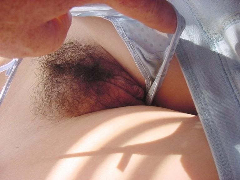 Gratis Foto 7813 Peludas
