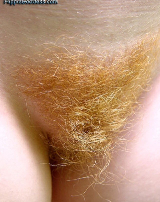 Gratis Foto 7176 Peludas