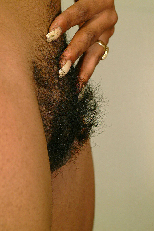 Gratis Foto 7827 Peludas