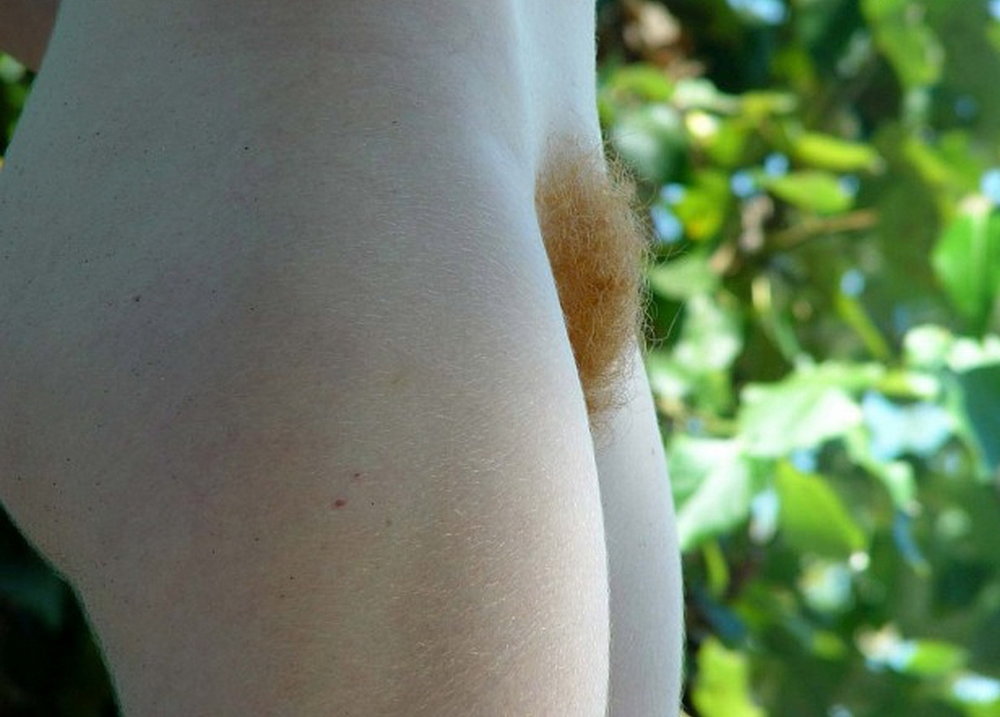 Gratis Foto 1410 Peludas