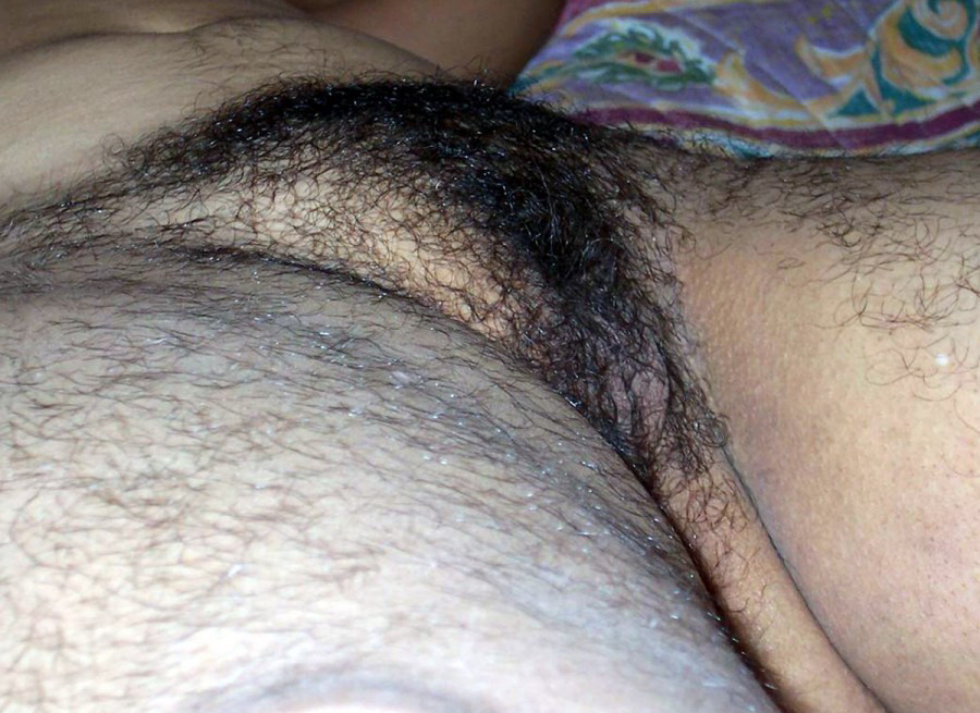 Gratis Foto 954 Peludas