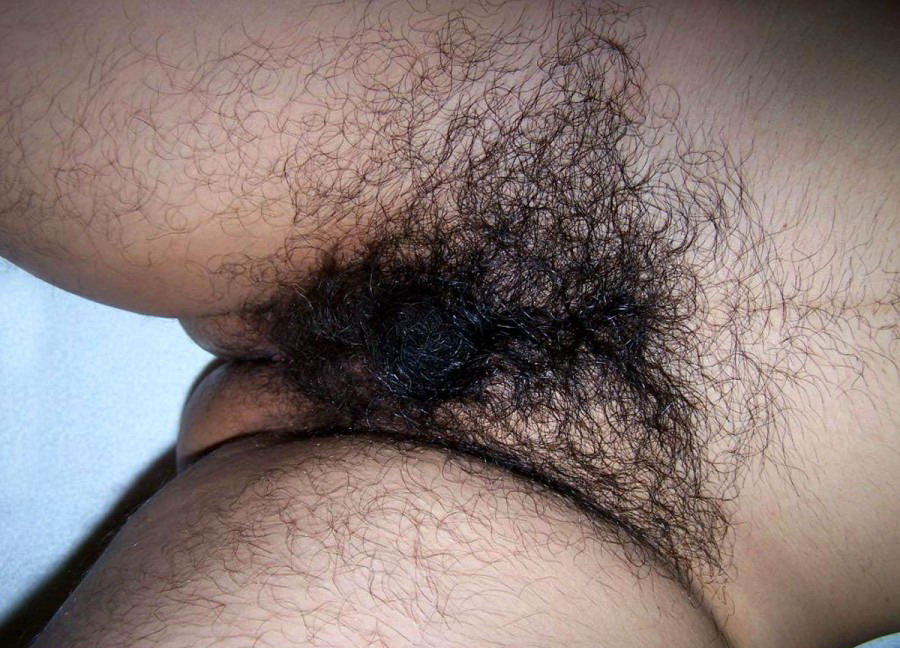 Gratis Foto 7750 Peludas