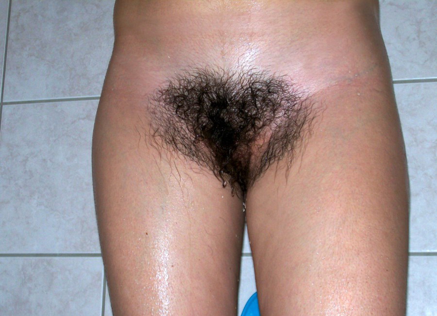 Gratis Foto 5335 Peludas