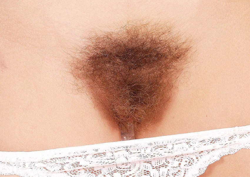 Gratis Foto 8186 Peludas