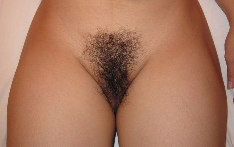 Gratis Foto 3519 Peludas