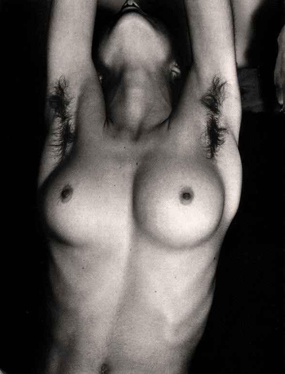 Gratis Foto 10084 Peludas