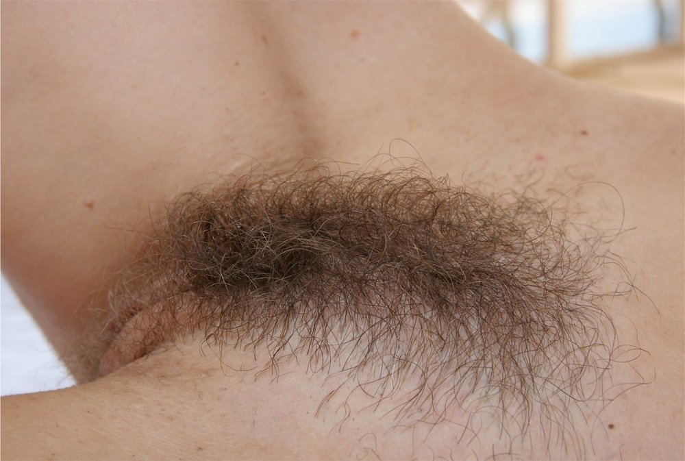 Gratis Foto 5029 Peludas