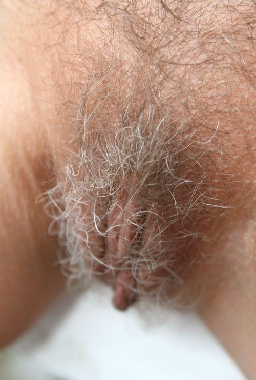 Gratis Foto 13100 Peludas