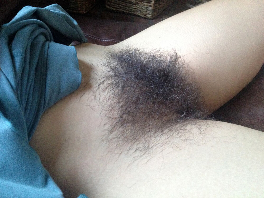 Gratis Foto 5357 Peludas