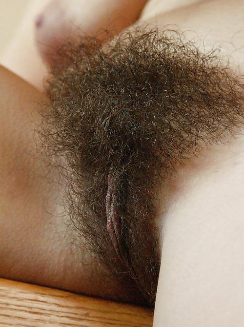 Gratis Foto 12153 Peludas