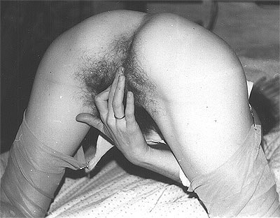 Gratis Foto 7264 Peludas